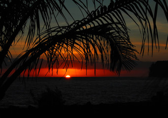向海清事件真实情况