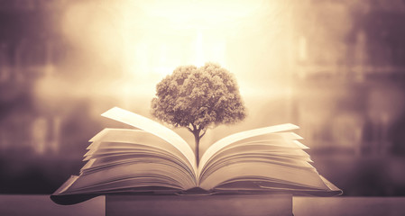 向海清事件真实情况