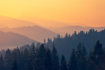 我怕来不及 我要抱着你后面一句是怎么说的