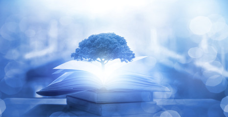 螳螂寓意是好还是不好