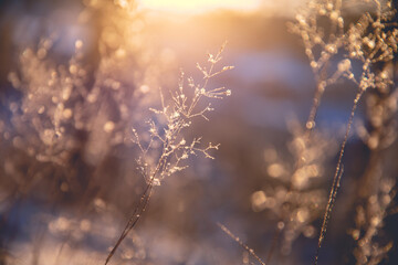 小学生五年级分数口算题（有答案的）50道？