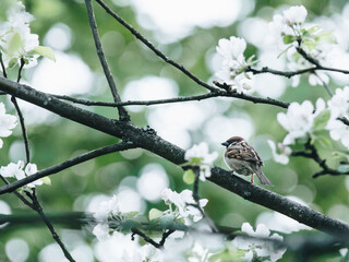 小米mix2s跑分为什么