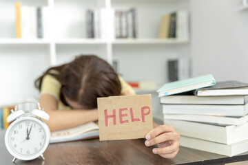 支付宝怎么用花呗收款二维码