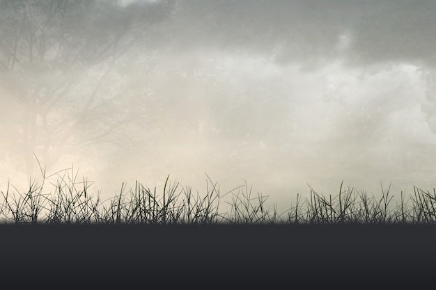 向海清事件真实情况