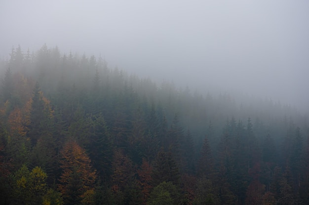 遥遥领先的造句