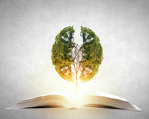 小学生五年级分数口算题（有答案的）50道？