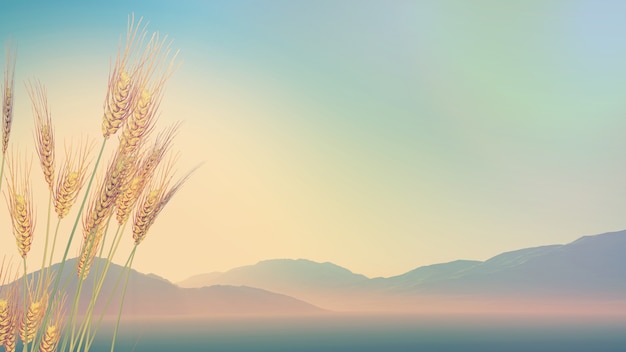 为什么我的640还不能接收wp10正式版推送