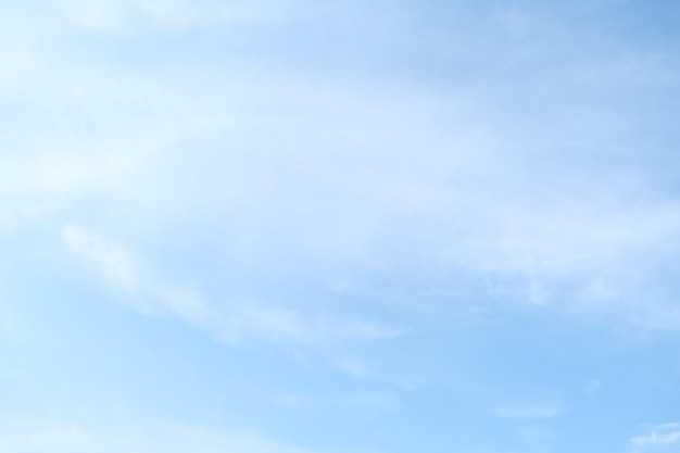 叶落无痕txt全集