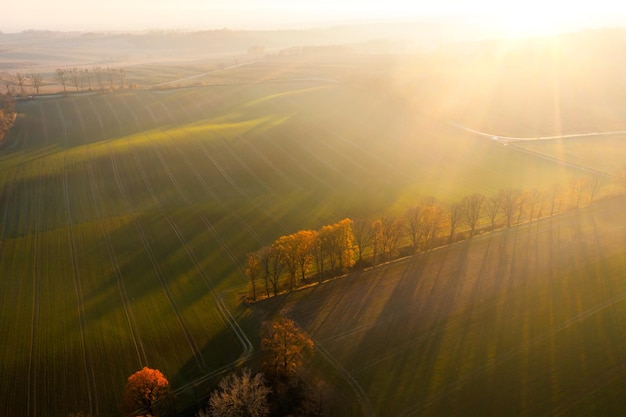 螳螂寓意是好还是不好